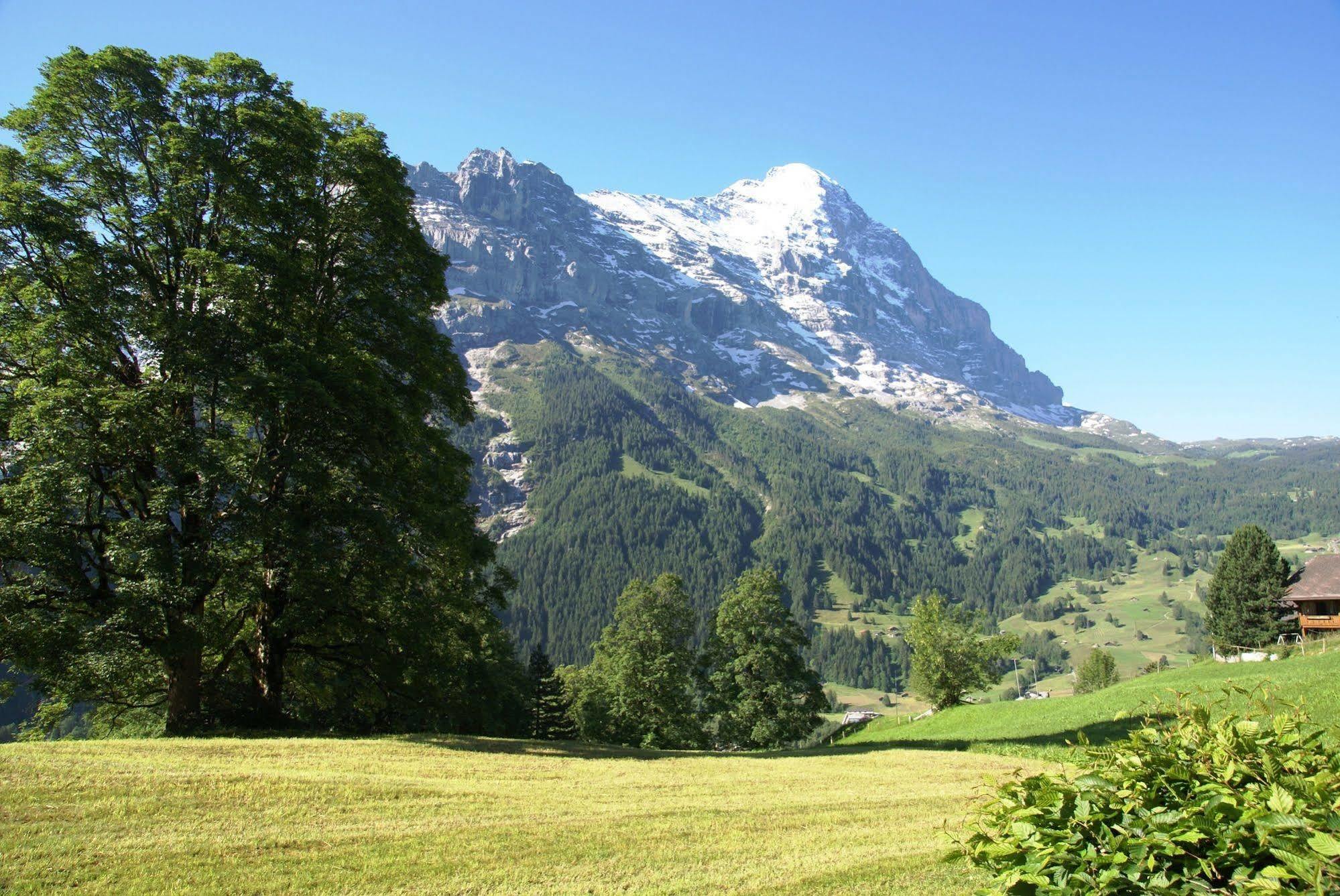 Apartment Nussbaum - Griwa Rent Ag Grindelwald Exterior photo